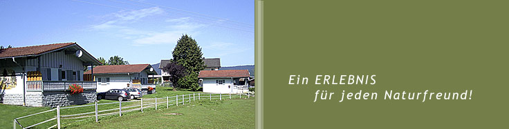 Ferienhaus im Bayerischen Wald