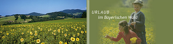 Uraub im Bayerischen Wald in Bayern